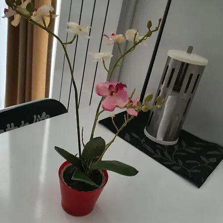 Anya Apartment